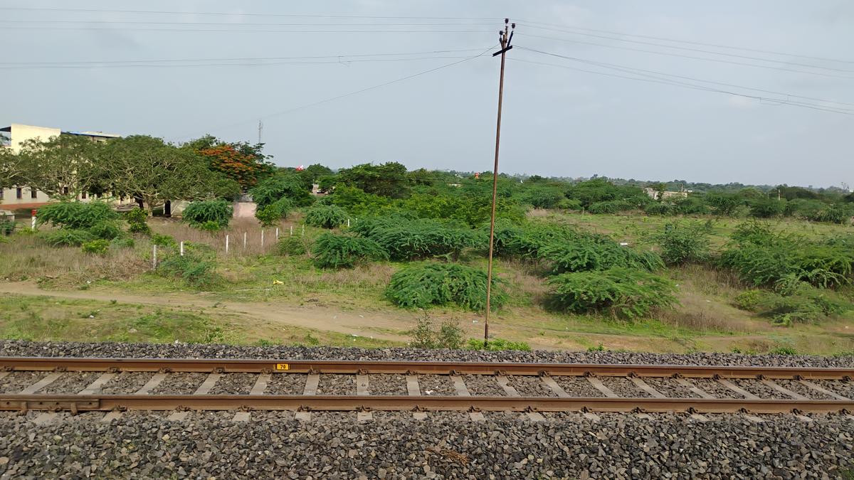షిర్డీ సాయిబాబా